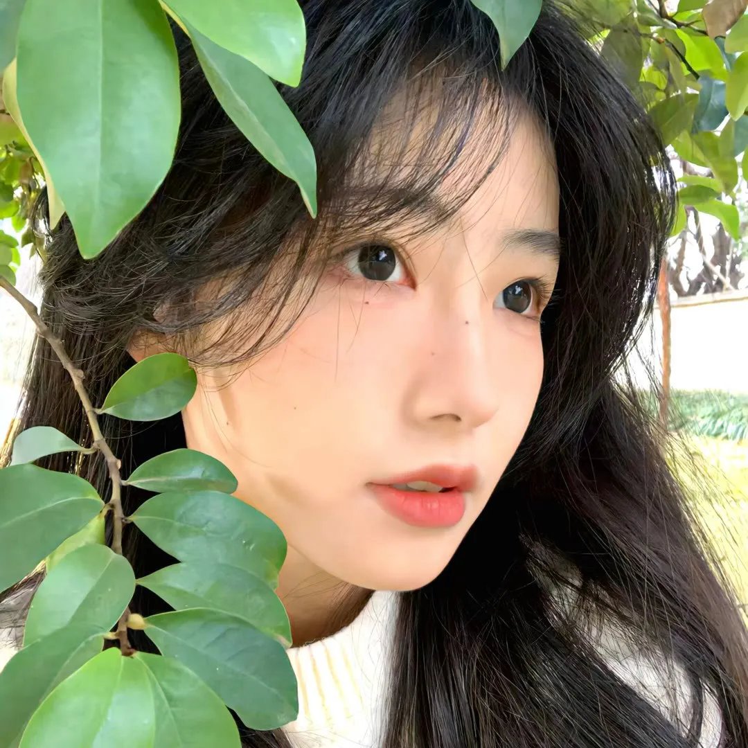 联结
